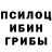 Галлюциногенные грибы Magic Shrooms Vladimir Kochkovski
