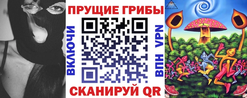 нарко площадка какой сайт купить наркотики сайты Бутурлиновка Псилоцибиновые грибы Psilocybe